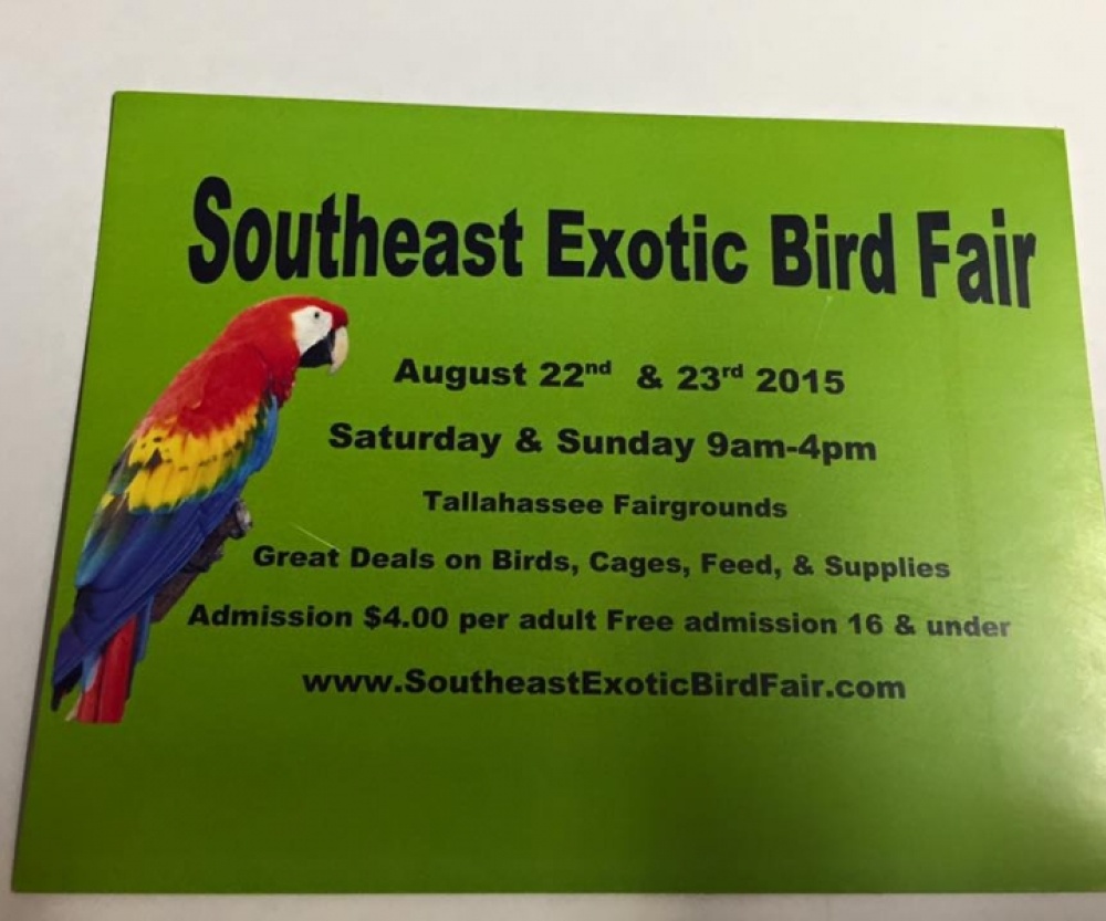 SOUTHEAST EXOTIC BIRD FAIR AUG 2223 2015 4 Entertainment and Leisure